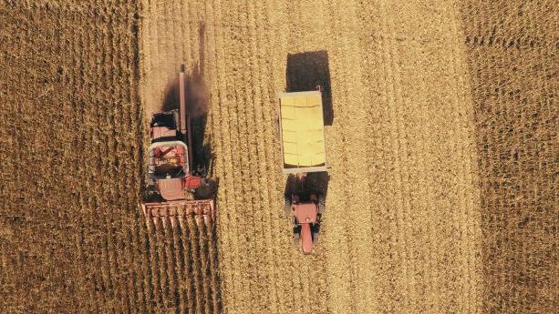 Letter: Farm policies impact immigration